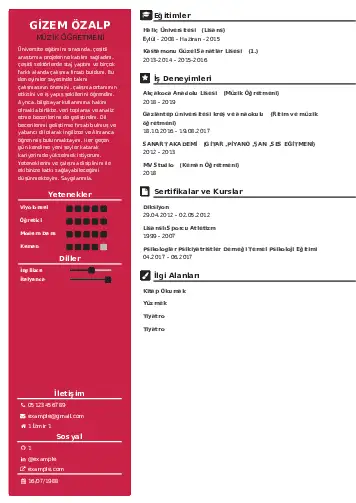 Müzik Öğretmeni Cv Örnekleri cv indir